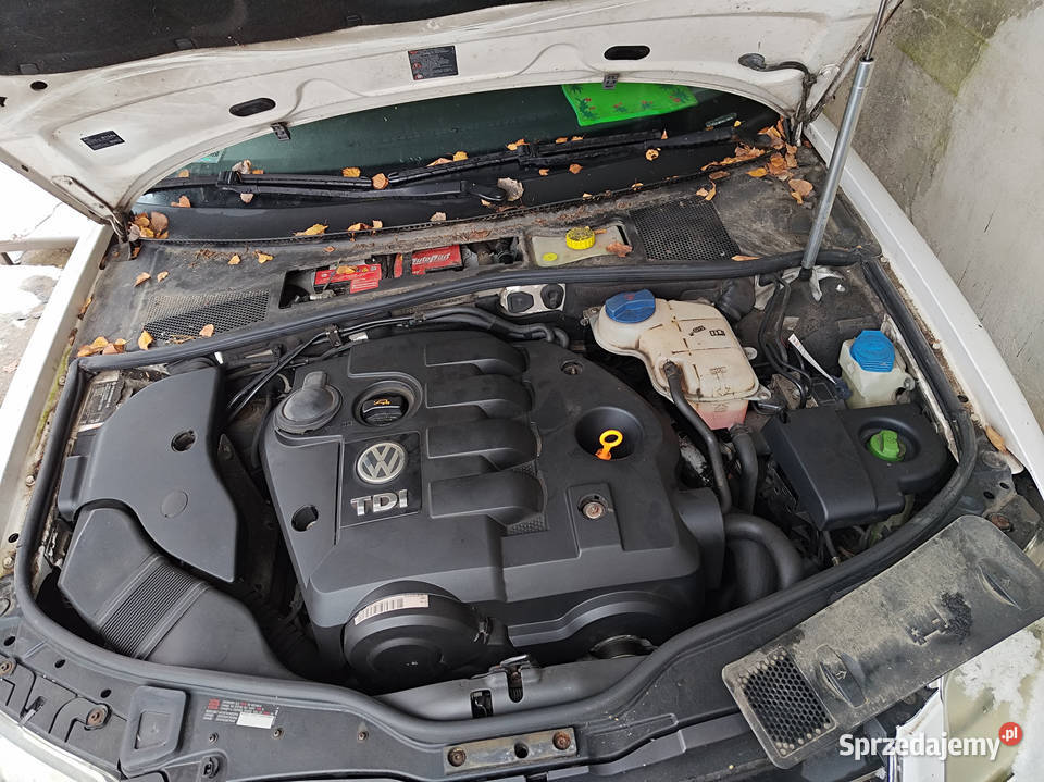 passat vw Rok produkcji 2004 Żagań