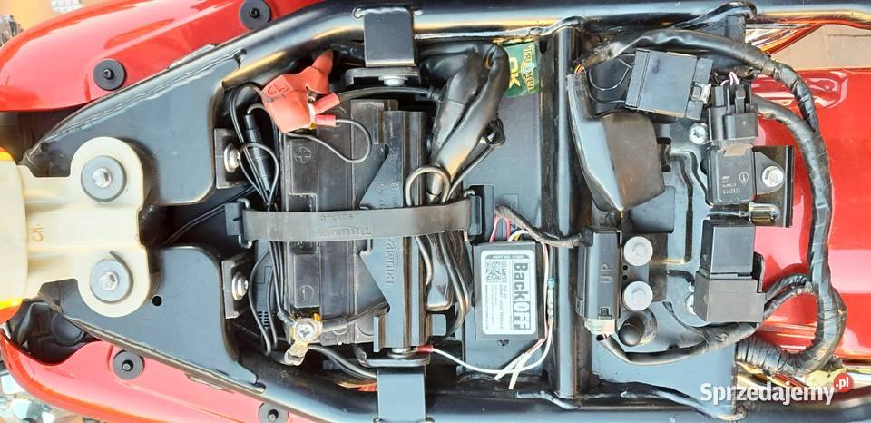 Triumph Bonneville T100 2012r 10000 zadbany Kielce