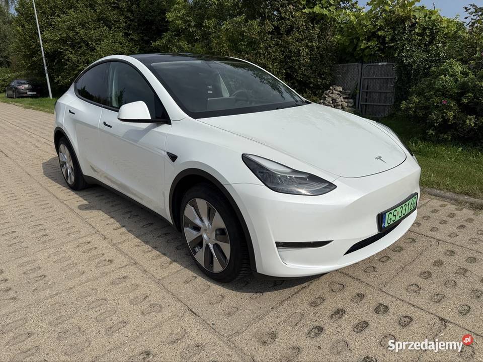 Tesla Model Y 2023r DualMotor 515koni Long Range
