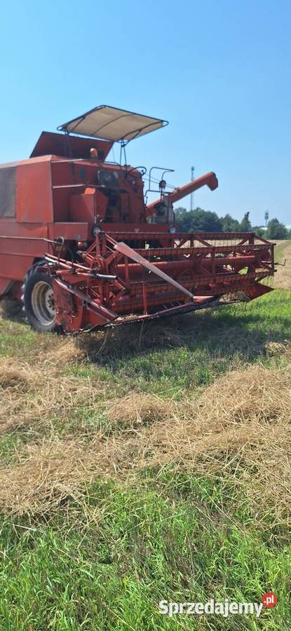 Bizon Z056 Bizon Dzierzgówek sprzedam