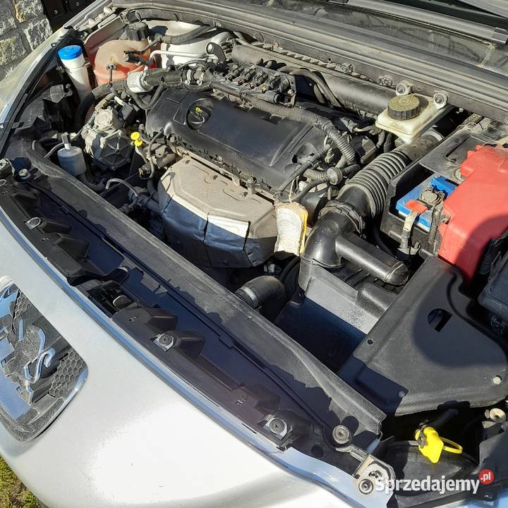 sprzedam zamieniem na droższy kujawsko-pomorskie Borówno