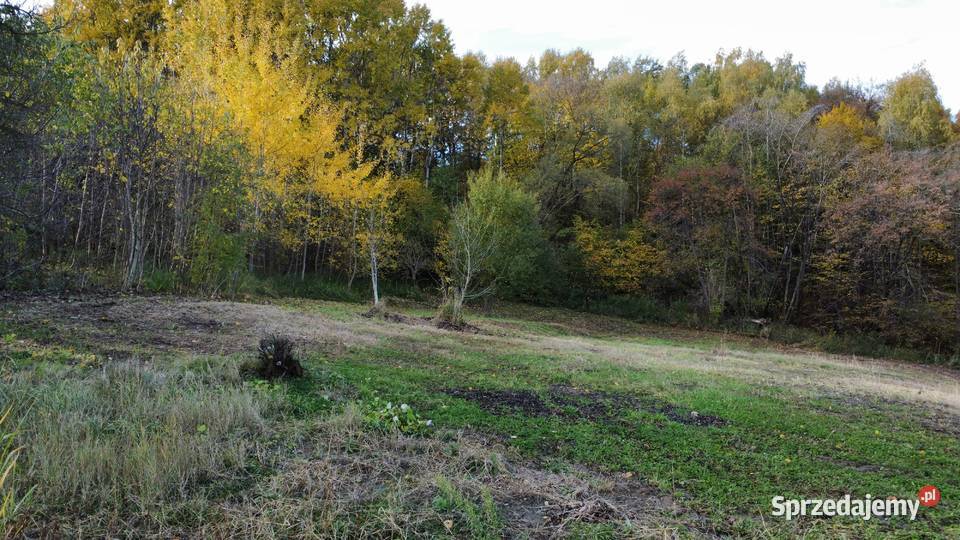 16 ar Wrząsowice Działka budowlana lesie