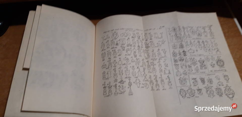 Lelewel Bibliograficznych Ksiąg Dwoje12Wilno1826 wielkopolskie Iwno