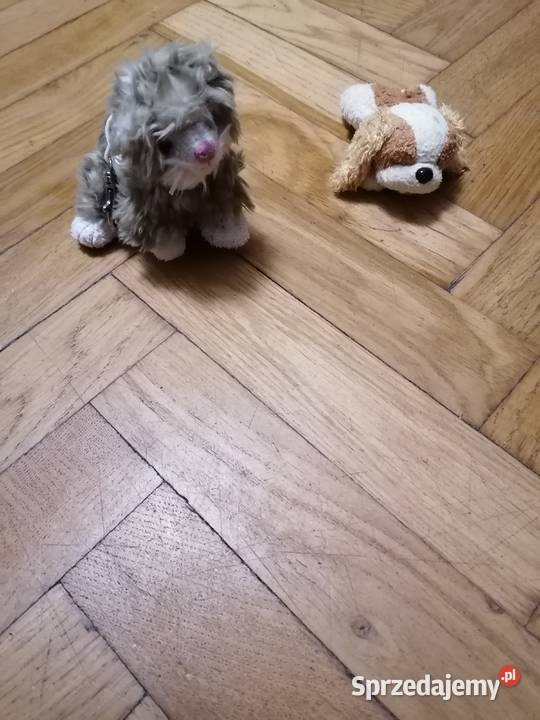 Mastoki 2 sztuki sprzedam