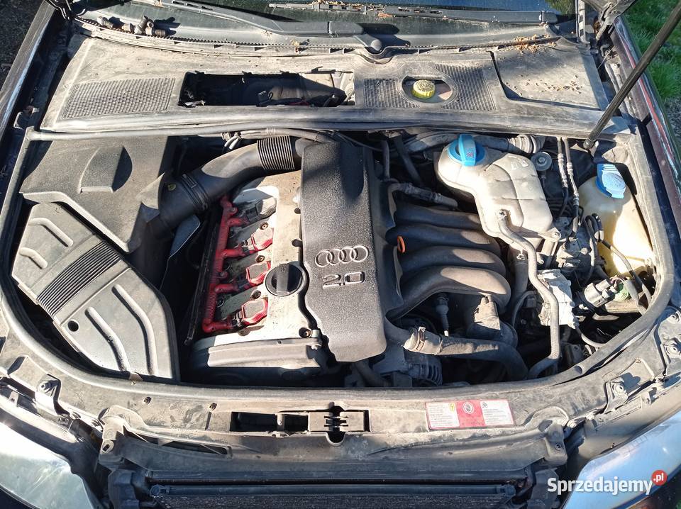 Audi A4 B6 20 Benzyna 96 kW 2001 r dawca części Szklarka Myślniewska