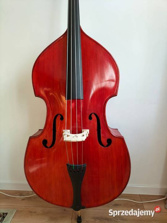Kontrabas 34 Muzima z Filharmonii Lwowskiej świętokrzyskie