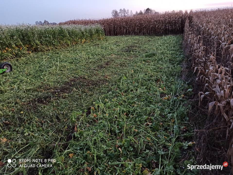 Kosiarka bijakowa mulczer talex sprzedam