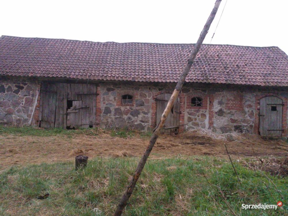 SIEDLISKO WARMIA I MAZURY GOŁDAP NASUTY prąd Nasuty