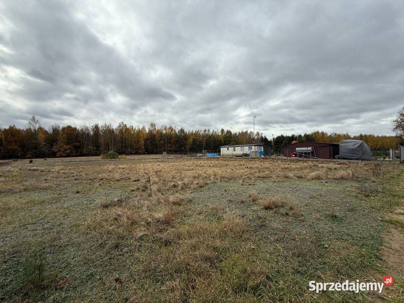 Urokliwa działka z możliwością zabudowy w Choinek