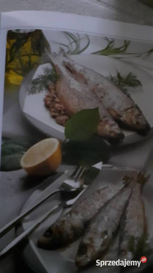Grill fartuch Szczecin