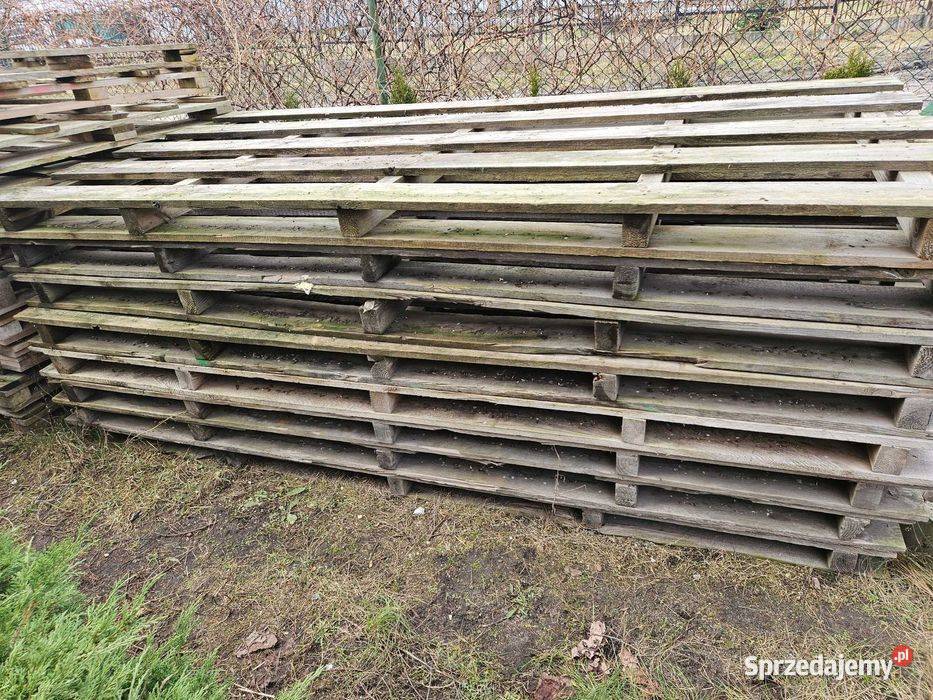 Palety rigipsach wymiar 120x250260 kujawsko-pomorskie Białe Błota
