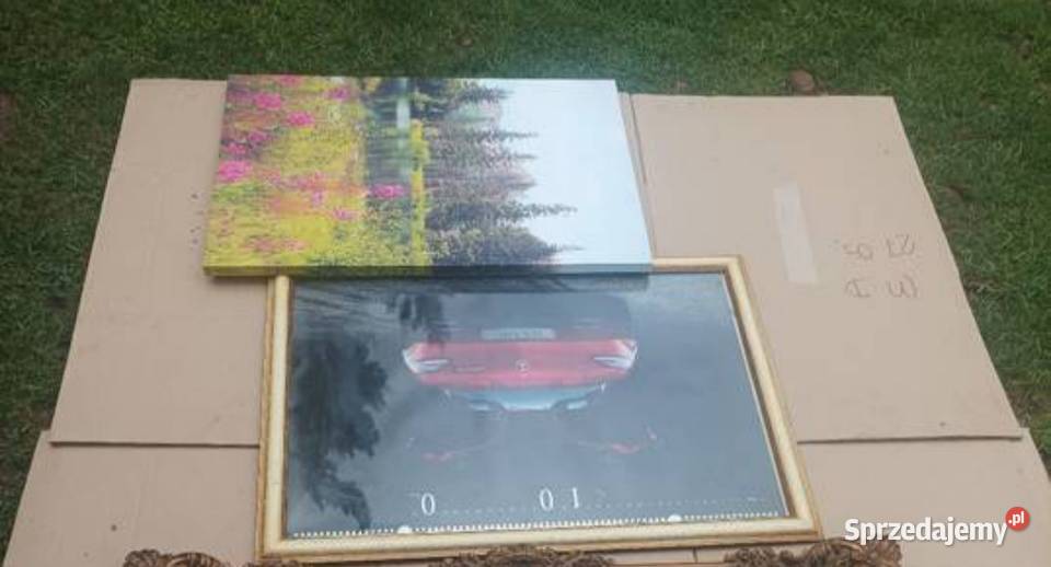 Obrazy obrazki ramki mazowieckie Sterdyń