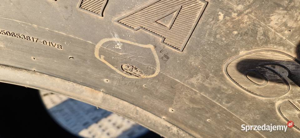 65065r38 6506538 Maxam Nowe Nowe Miasto Lubawskie