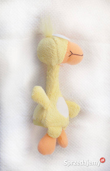 śmieszna maskotka kaczuszka vintage maskotka kujawsko-pomorskie Bydgoszcz