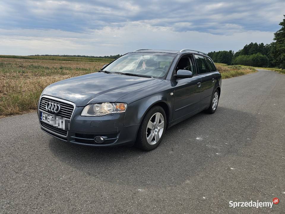 Audi a4b7 quattro Chotynin