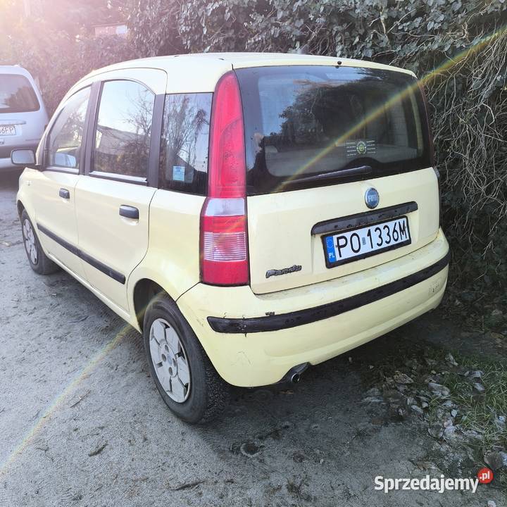 Fiat Panda 11 2004 114 Poznań