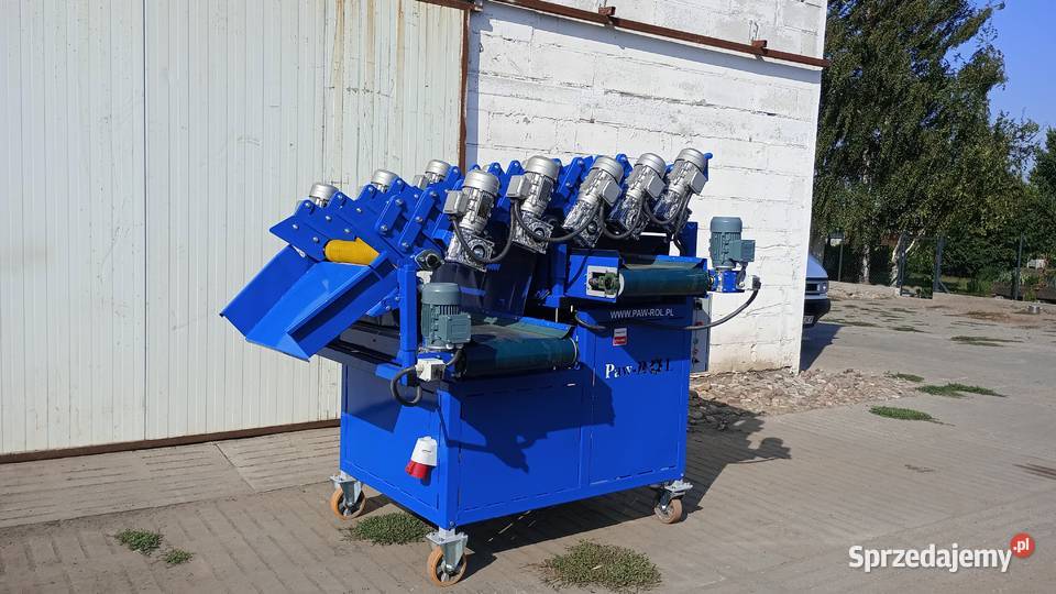 Sortownik rolkowy warzyw ziemniaków cebuli