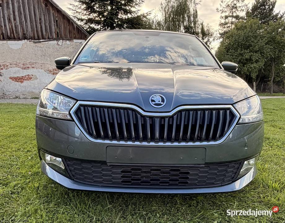 Ładna Fabia Fabia Góra sprzedam