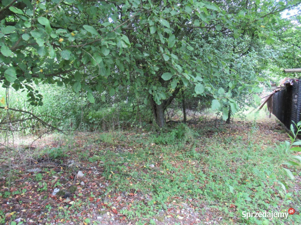 Sprzedam udział działka i dom Dyszów sprzedam