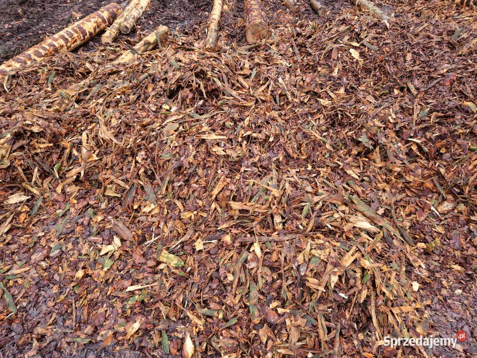 kora sosnowa luzem mieszana frakcja śląskie Krzepice