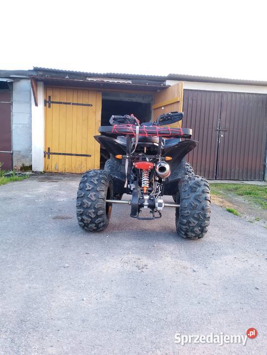 Quad Raptor 250 Krasne