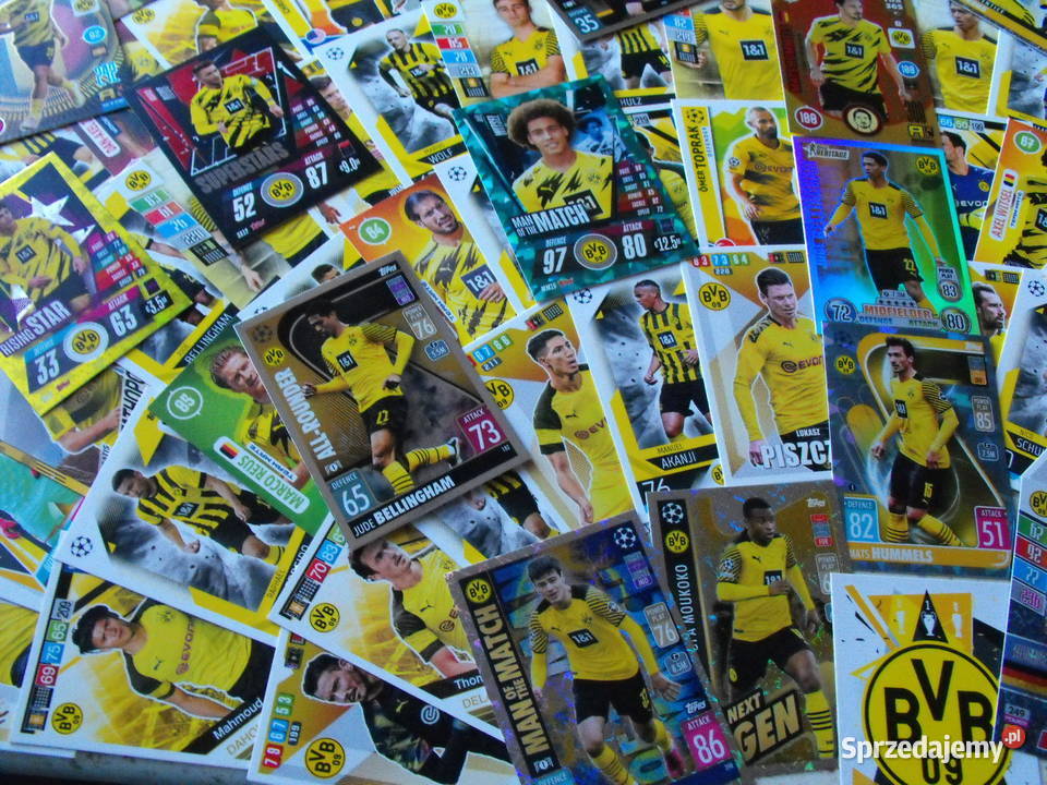 Karty BVB PANINI i inne MEGA zestaw 115 kart Mykanów sprzedam
