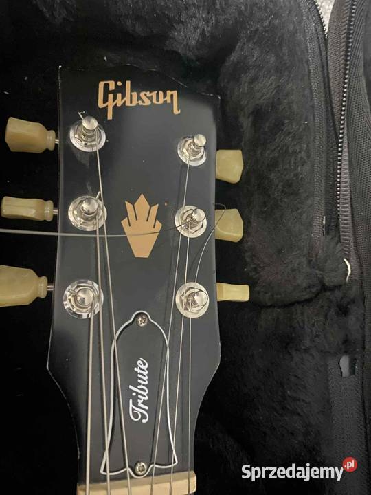 Gitara Gibson Jabłonowo Pomorskie