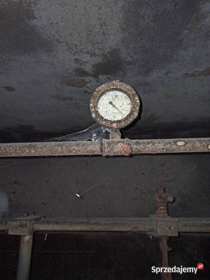 Dojarka alfa laval Stary Bazanów sprzedam