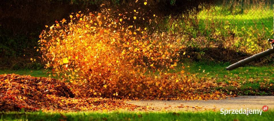 ELEKTRYCZNA DMUCHAWA ODKURZACZ LIŚCI ŚNIEGU Poznań
