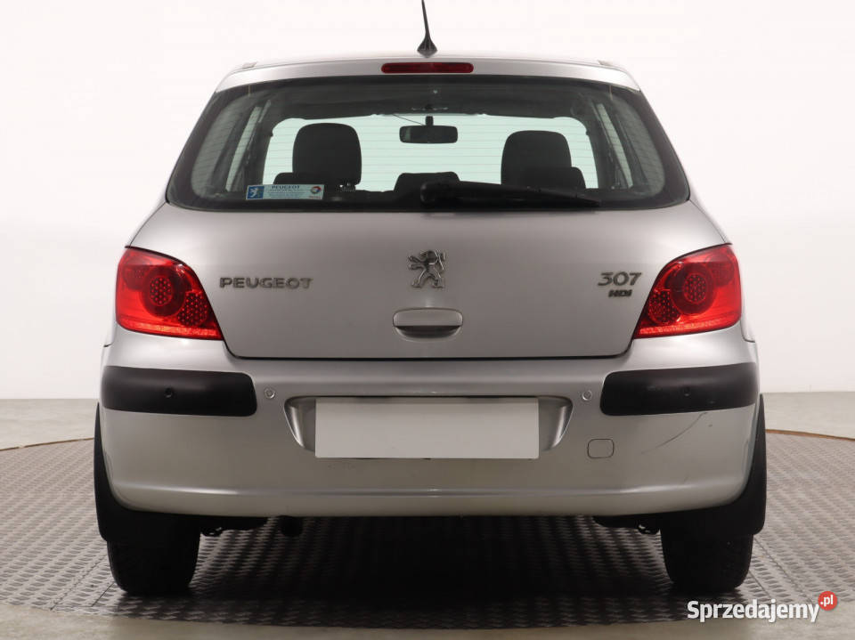 Peugeot 307 16 HDi Katowice