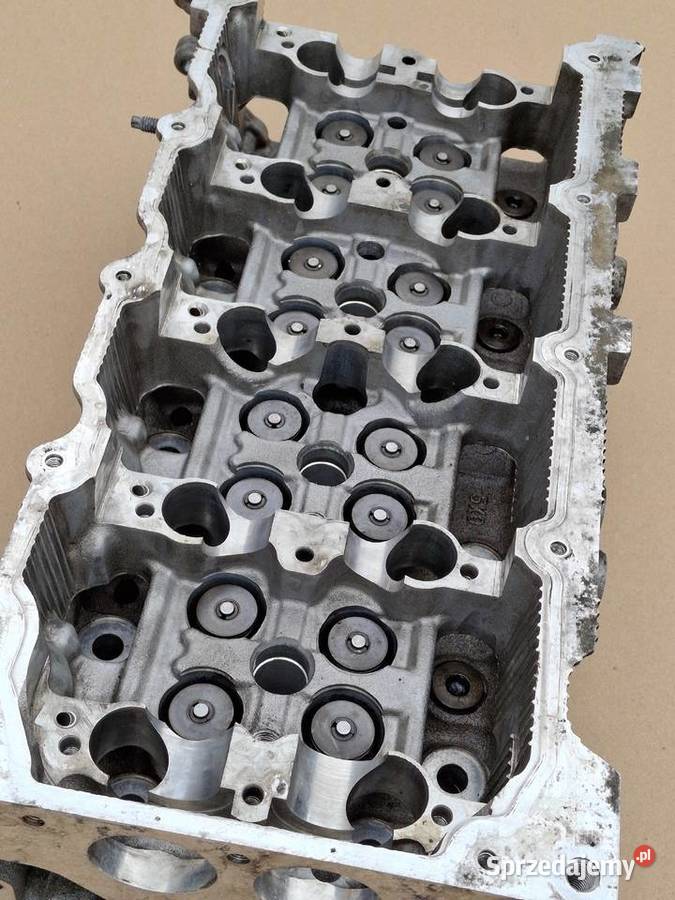 NISSAN RENAULT GŁOWICA 5X0 2L 20DCI 22DCI 25DCI lubuskie Bieleń