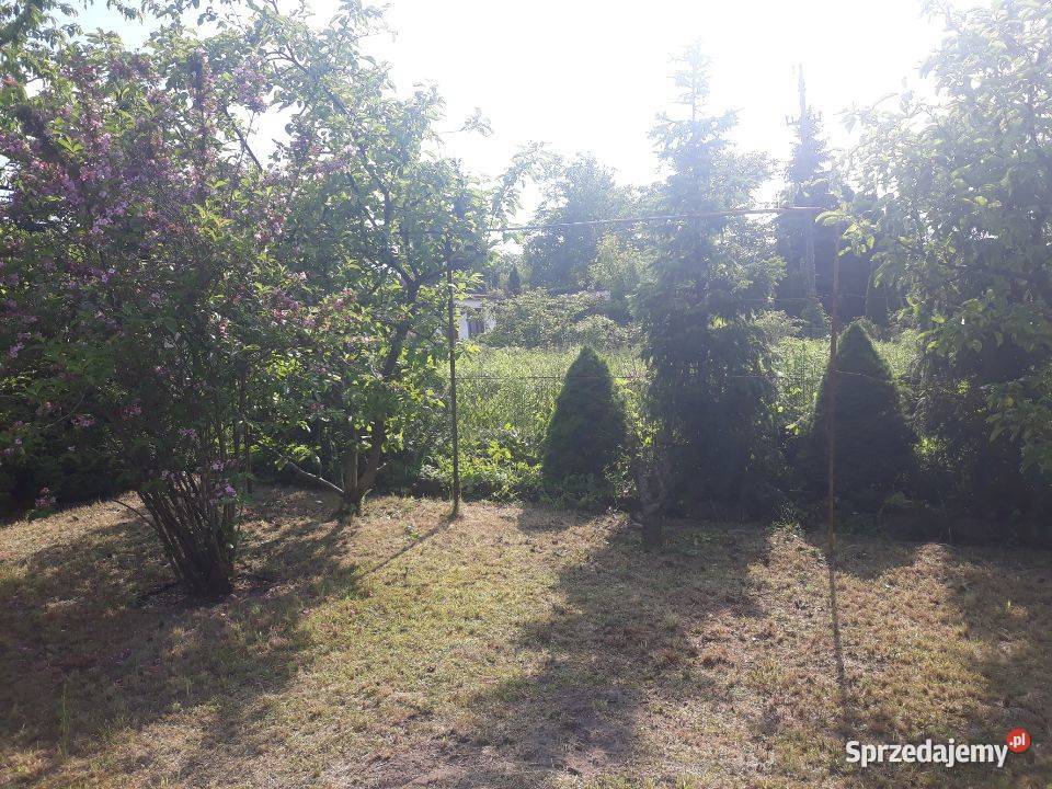 Sprzedam działkę rekreacyjną Rod prąd wielkopolskie Poznań sprzedam