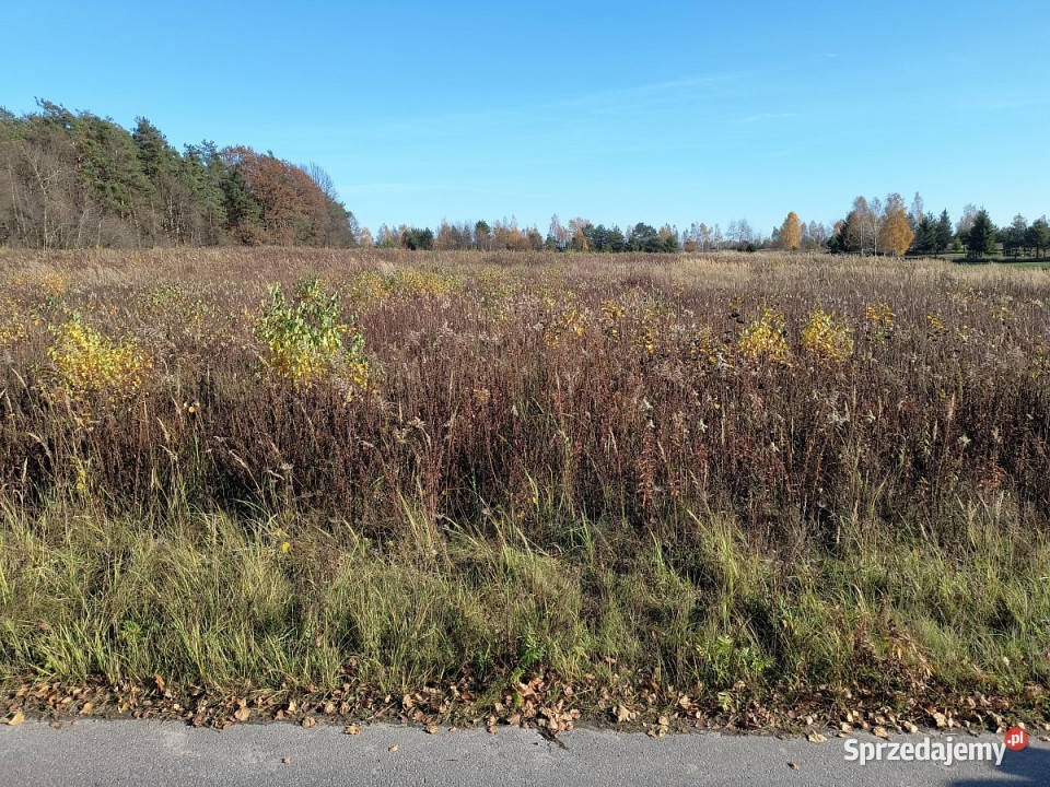 Działka Nowy Staw 14371m2 telefon