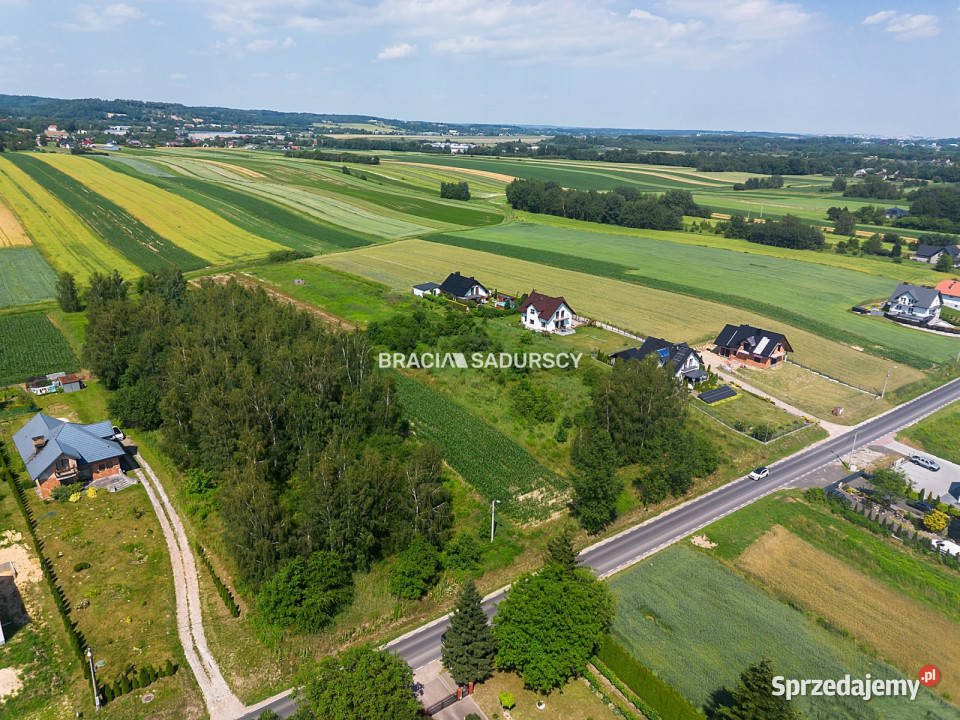 Działka 8300 metrów Cholerzyn 245zł/m2