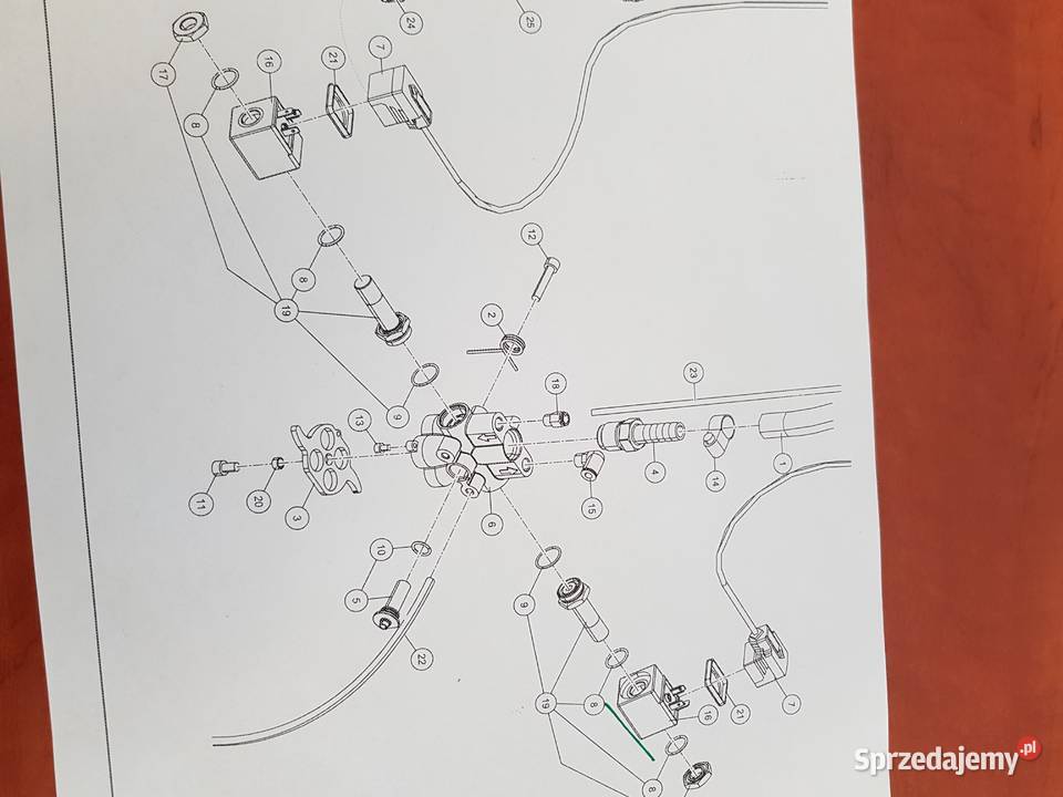 9113808100 Cewka Lely Pura lubuskie Sulechów