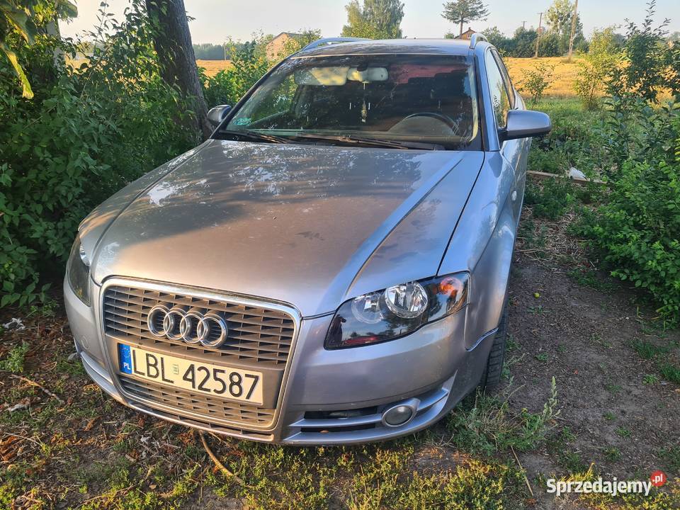 Audi a4 b7 19tdi