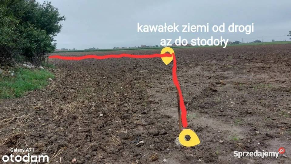Sprzedam nieruchomość 3000m2 Rozdrażew sprzedam