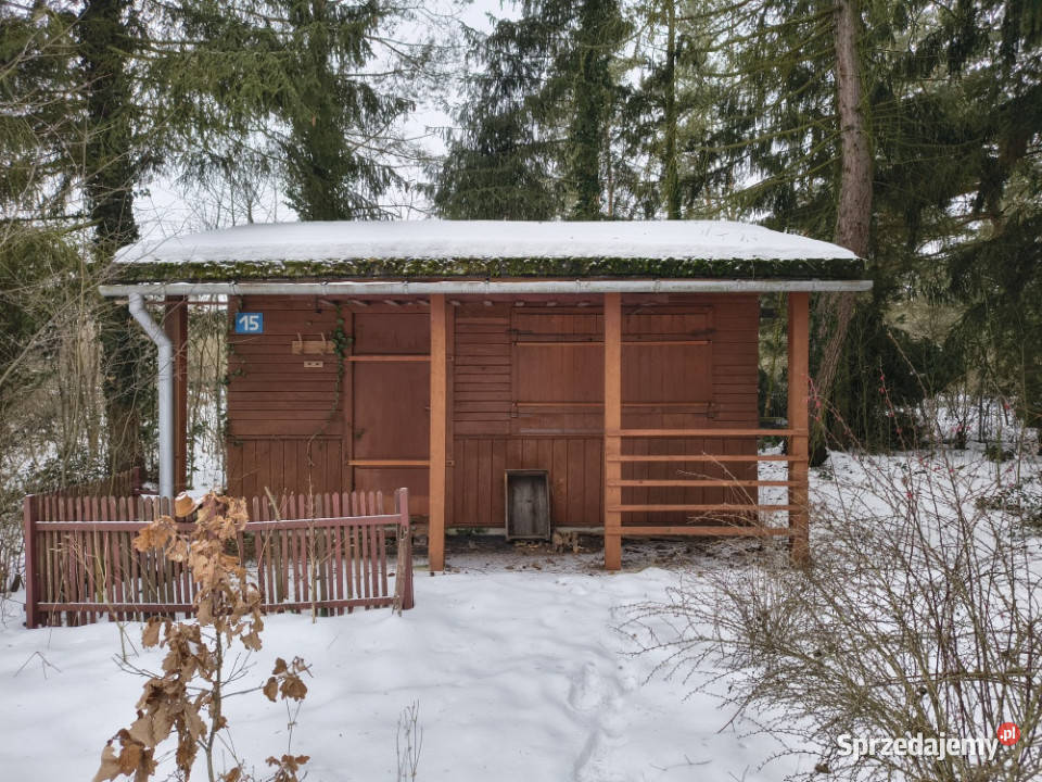 Nieruchomość Wisłą Sprzedaż