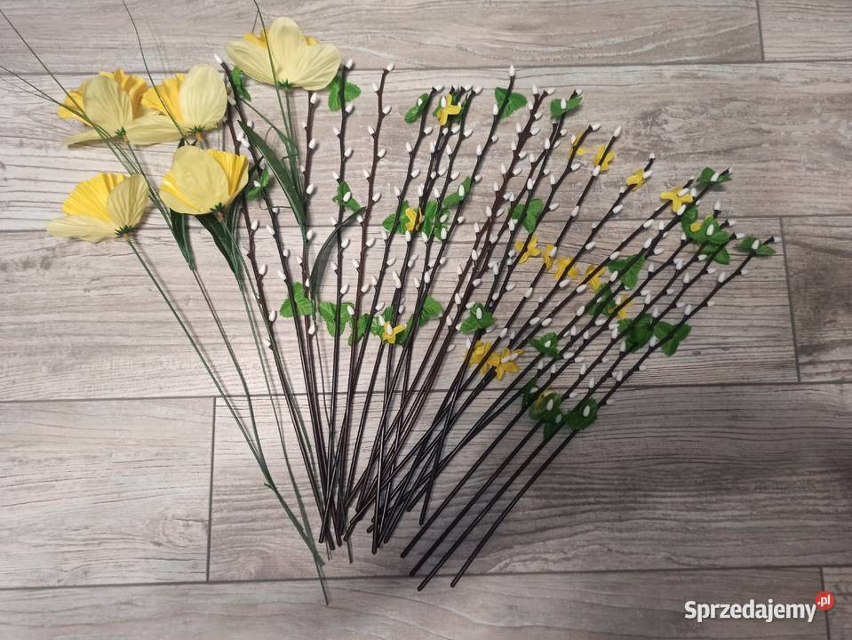 Sztuczne gałązki bazi i żonkile bazie żonkil Warszawa