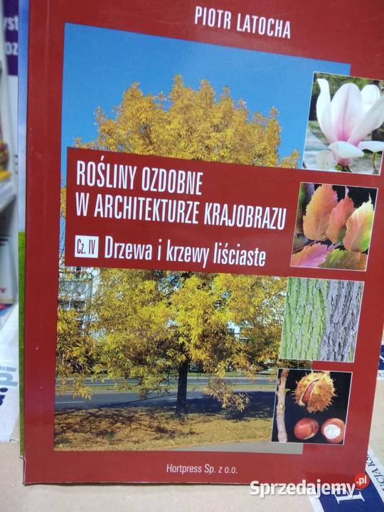 Rośliny ozdobne w architekturze krajobrazu Warszawa