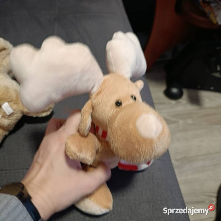 renifer Kinder kolejny