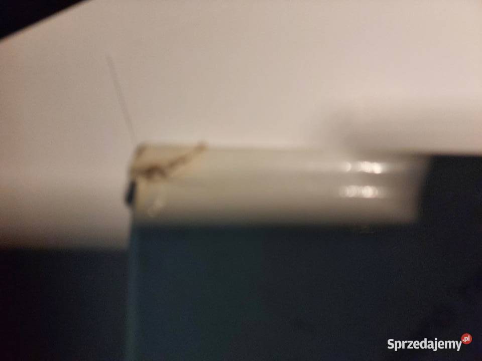 Książka Album Pieski Świat dolnośląskie Wrocław