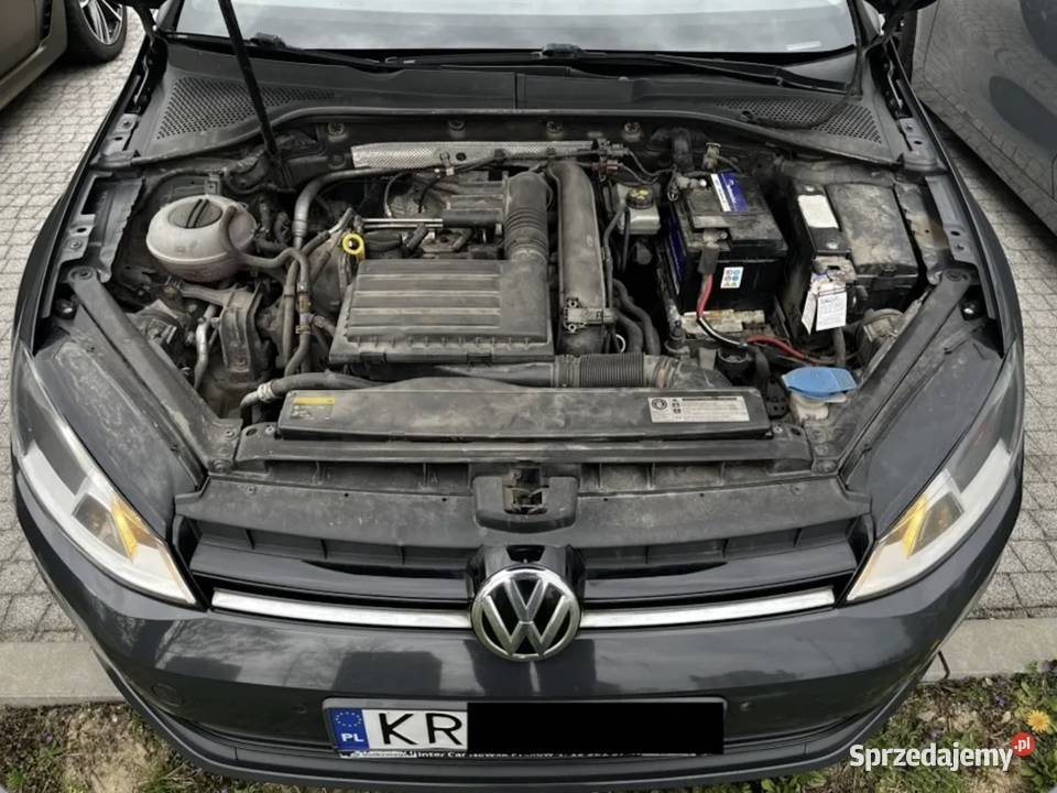 Volkswagen Golf VII 12 TSI 2014 Zadbany Pełna Golf