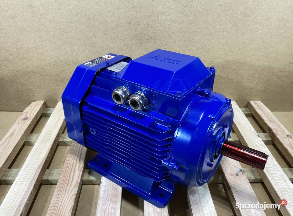 silnik elektryczny 185kW 2920obr 3fazowy ABB Pigża