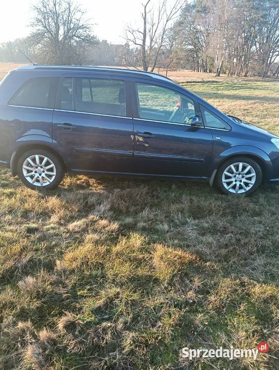 Opel Zafira Wolin