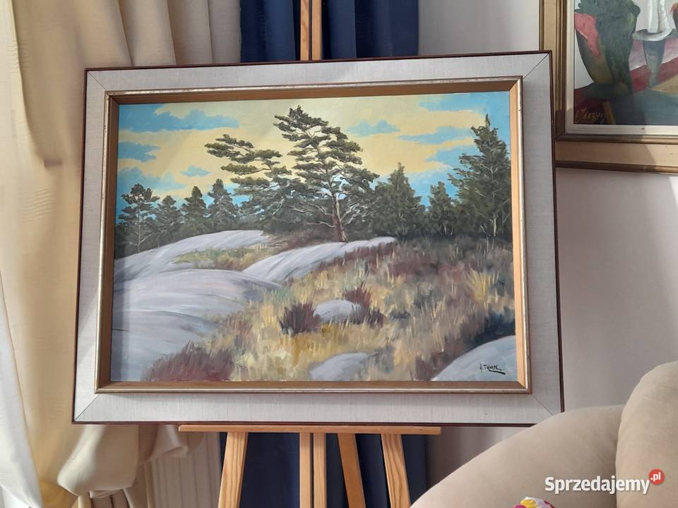 Thorpe Ake Olsson Szwedzka natura cenny obraz Malarstwo Iłża
