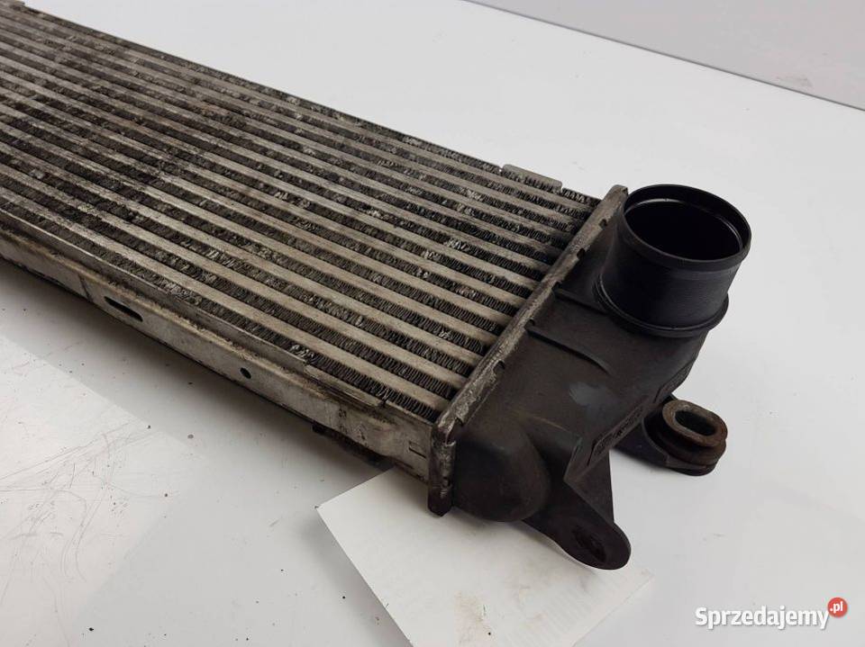 INTERCOOLER 8200411160 VIVARO TRAFIC Lipno sprzedam