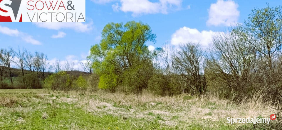 Działka budowlana Czarny Bór