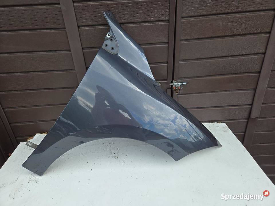 BŁOTNIK PRAWY PRZÓD TEB66 RENAULT MEGANE III 15 osobowe