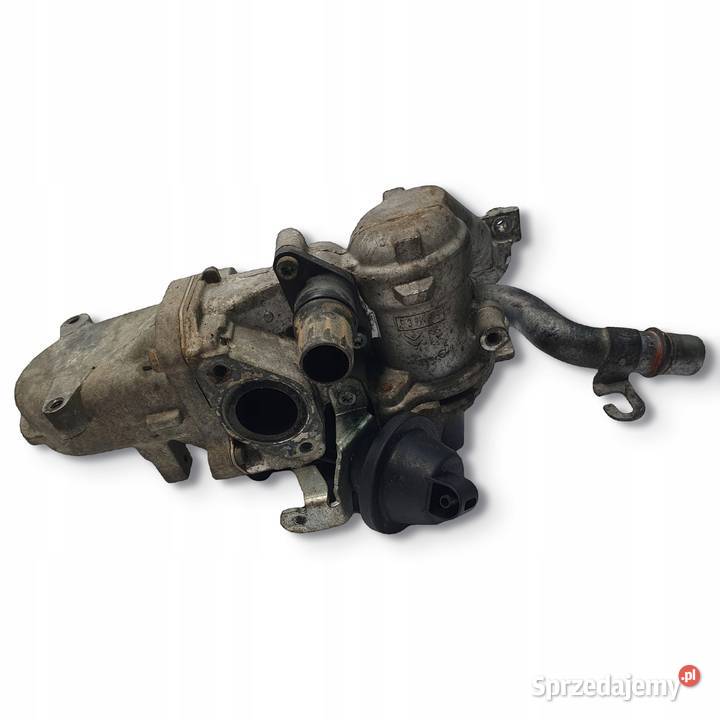 CHŁODNICA SPALIN EGR Ford Focus III 16 TDCI osobowe Chełm